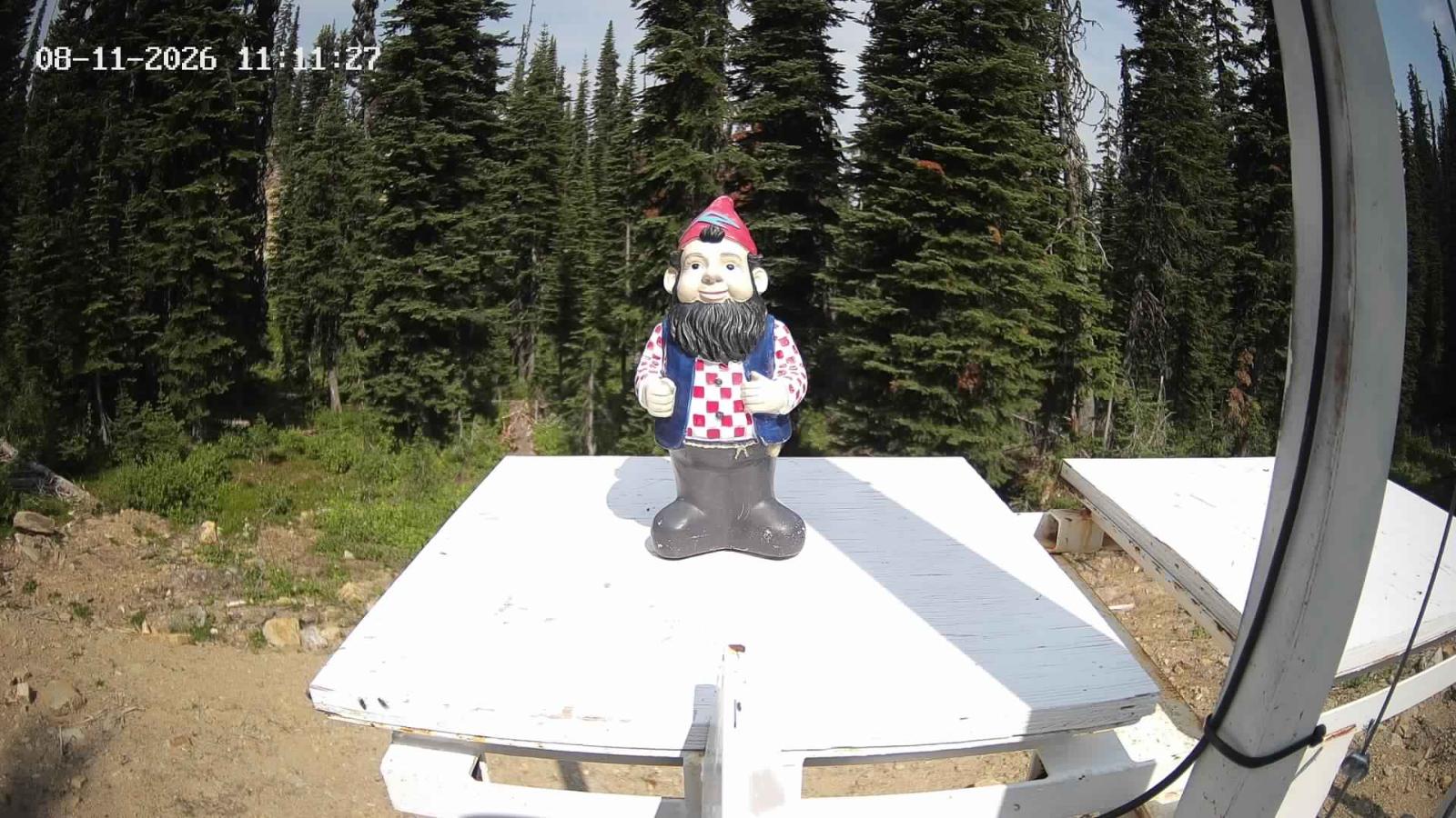 Webcam Revelstoke Mountain: Gnorm the Powder Gnome