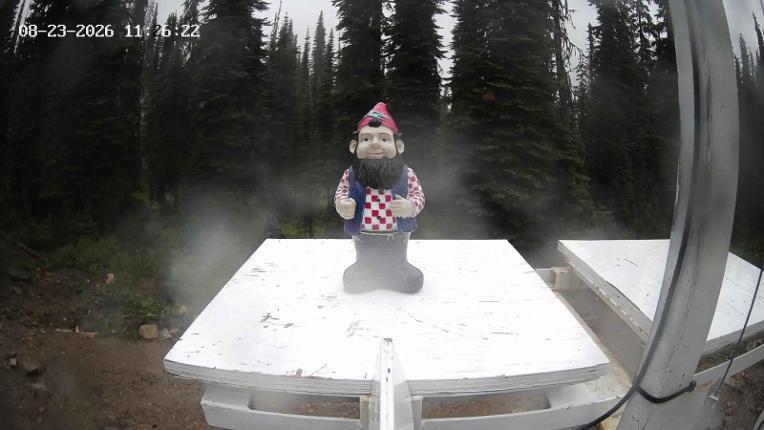 Webcam Revelstoke Mountain: Gnorm the Powder Gnome