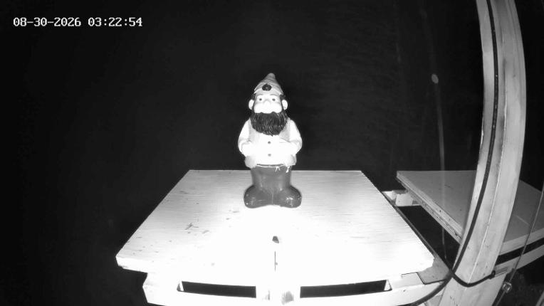 Webcam Revelstoke Mountain: Gnorm the Powder Gnome