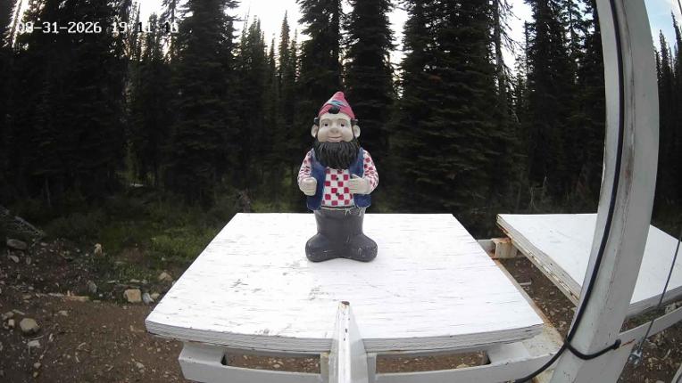 Webcam Revelstoke Mountain: Gnorm the Powder Gnome