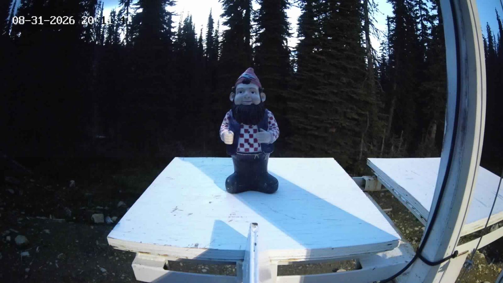 Webcam Revelstoke Mountain: Gnorm the Powder Gnome