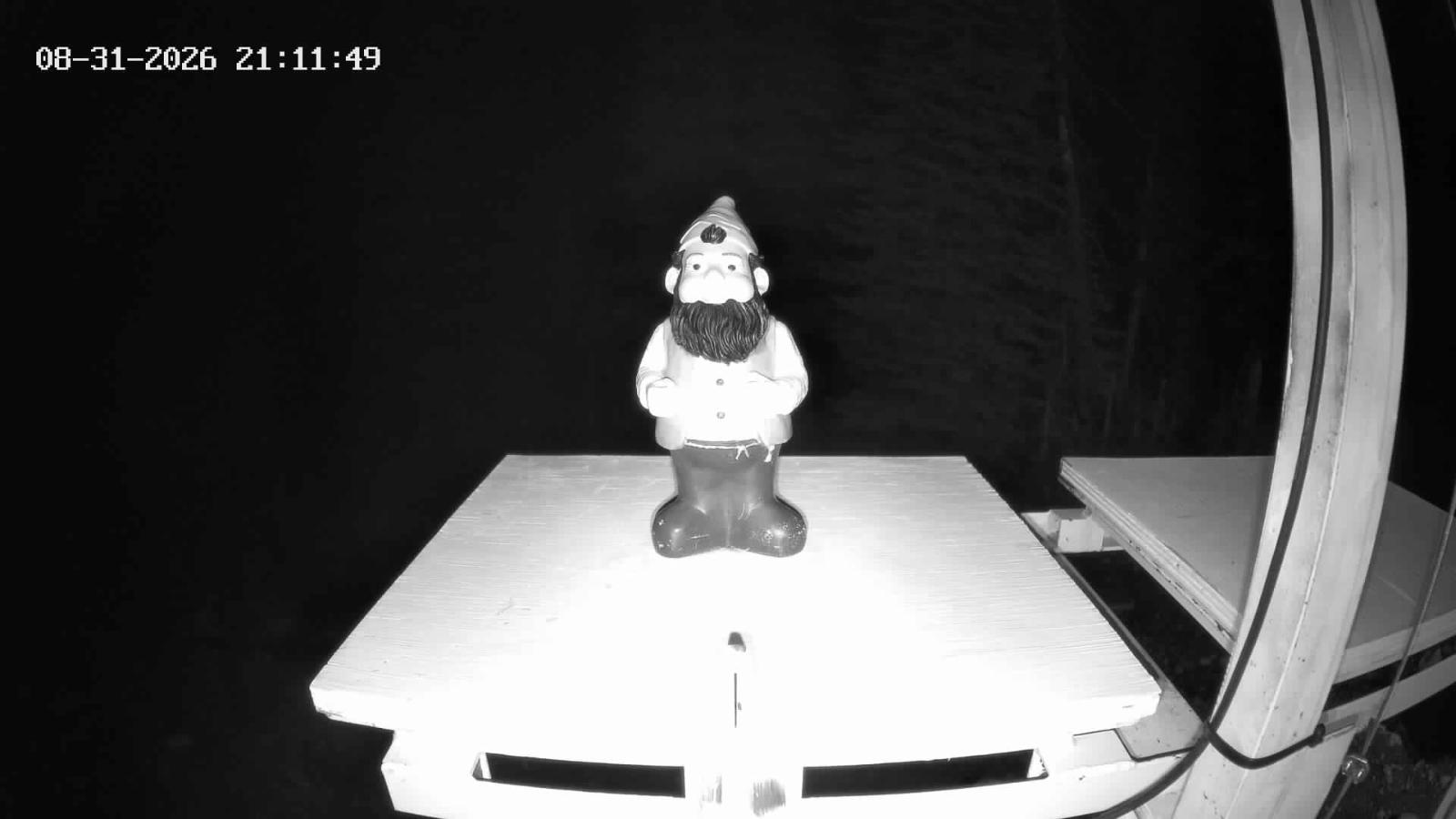 Webcam Revelstoke Mountain: Gnorm the Powder Gnome