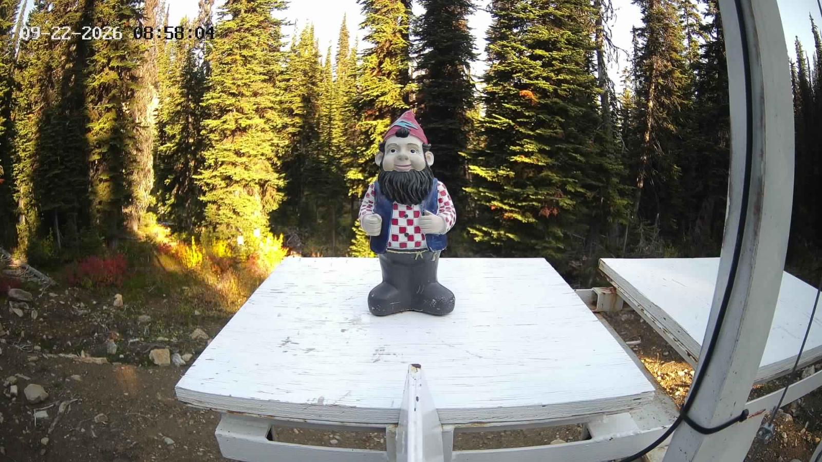 Webcam Revelstoke Mountain: Gnorm the Powder Gnome