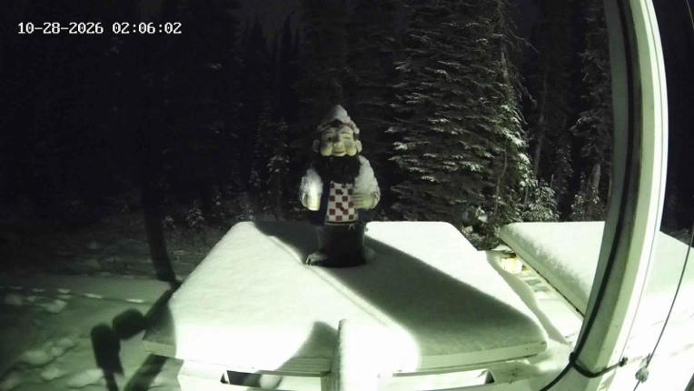 Webcam Revelstoke Mountain: Gnorm the Powder Gnome
