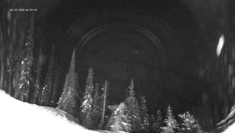 Webcam Revelstoke Mountain: Top Ripper Chair