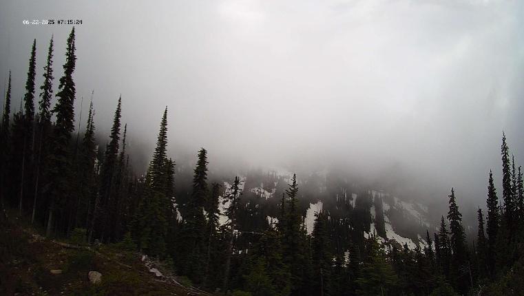 Webcam Revelstoke Mountain: Top Ripper Chair