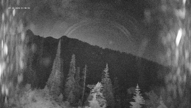 Webcam Revelstoke Mountain: Top Ripper Chair