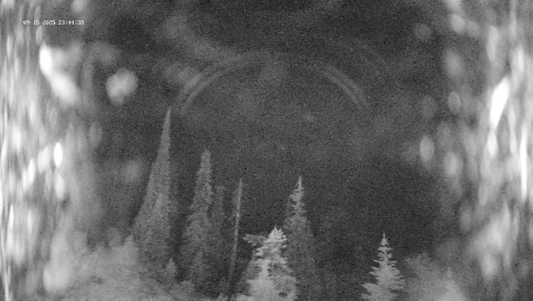 Webcam Revelstoke Mountain: Top Ripper Chair