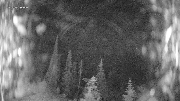 Webcam Revelstoke Mountain: Top Ripper Chair