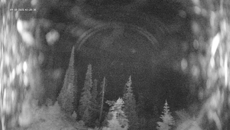 Webcam Revelstoke Mountain: Top Ripper Chair