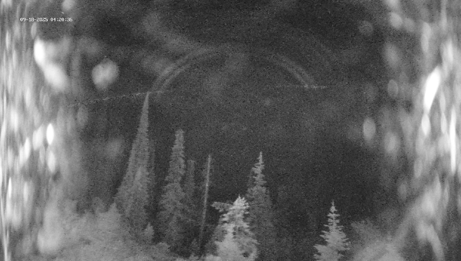 Webcam Revelstoke Mountain: Top Ripper Chair