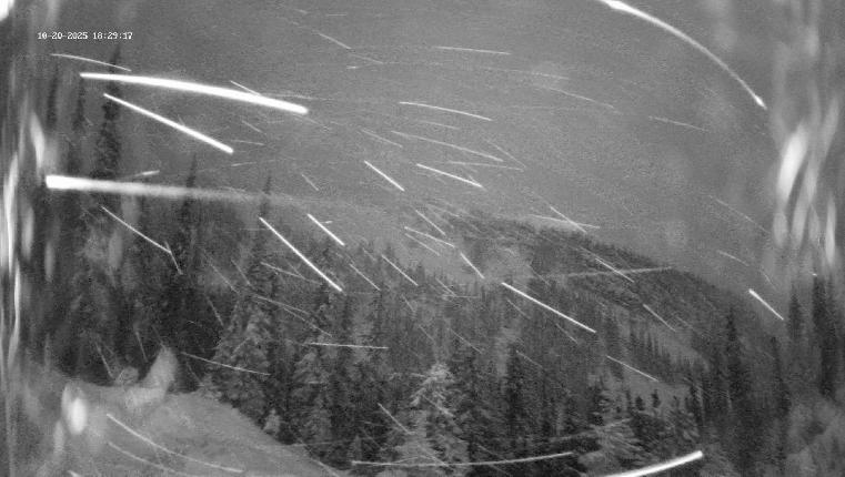 Webcam Revelstoke Mountain: Top Ripper Chair