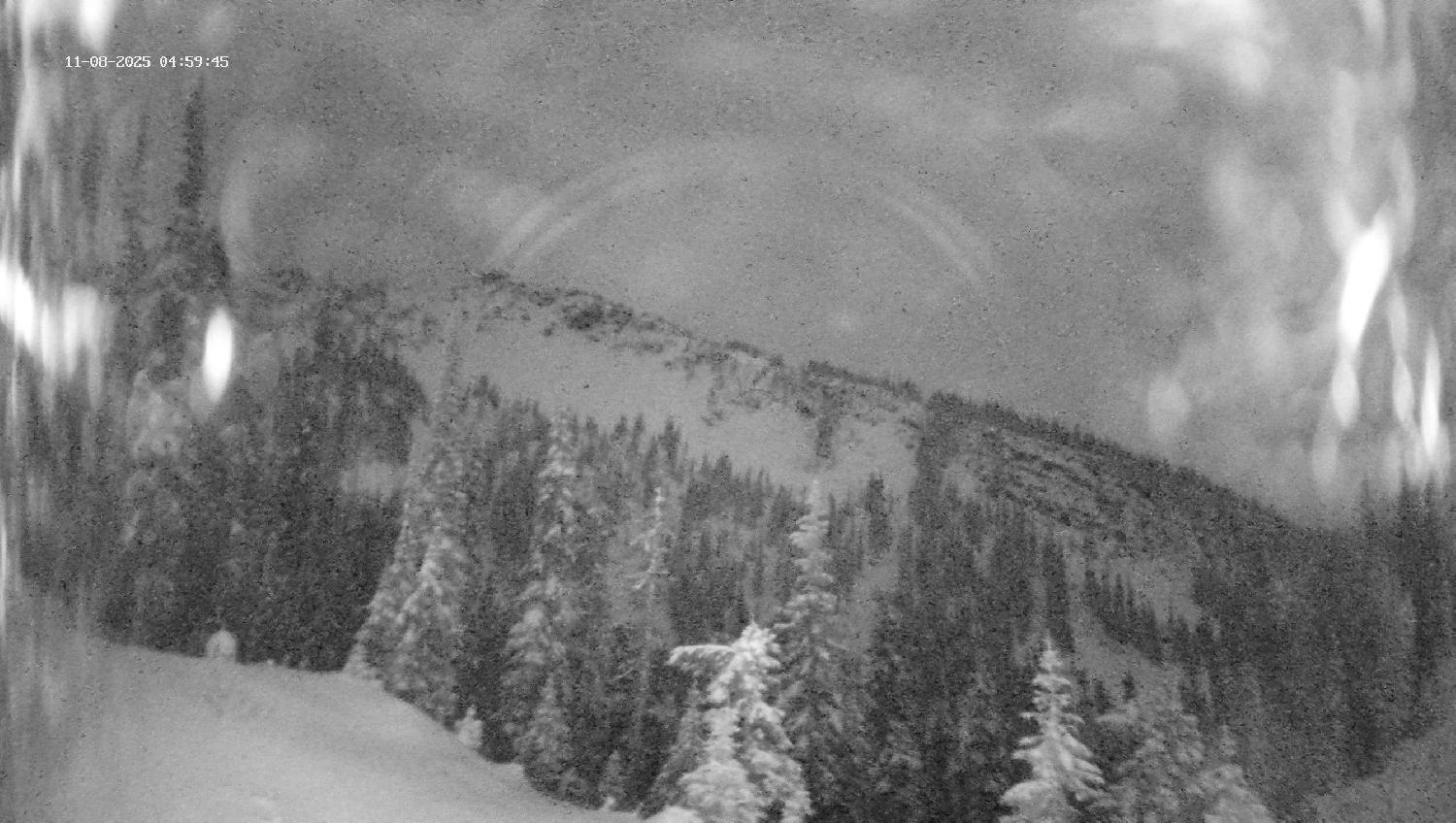 Webcam Revelstoke Mountain: Top Ripper Chair