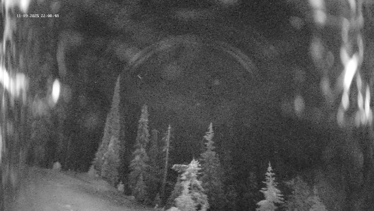 Webcam Revelstoke Mountain: Top Ripper Chair