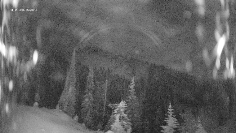 Webcam Revelstoke Mountain: Top Ripper Chair