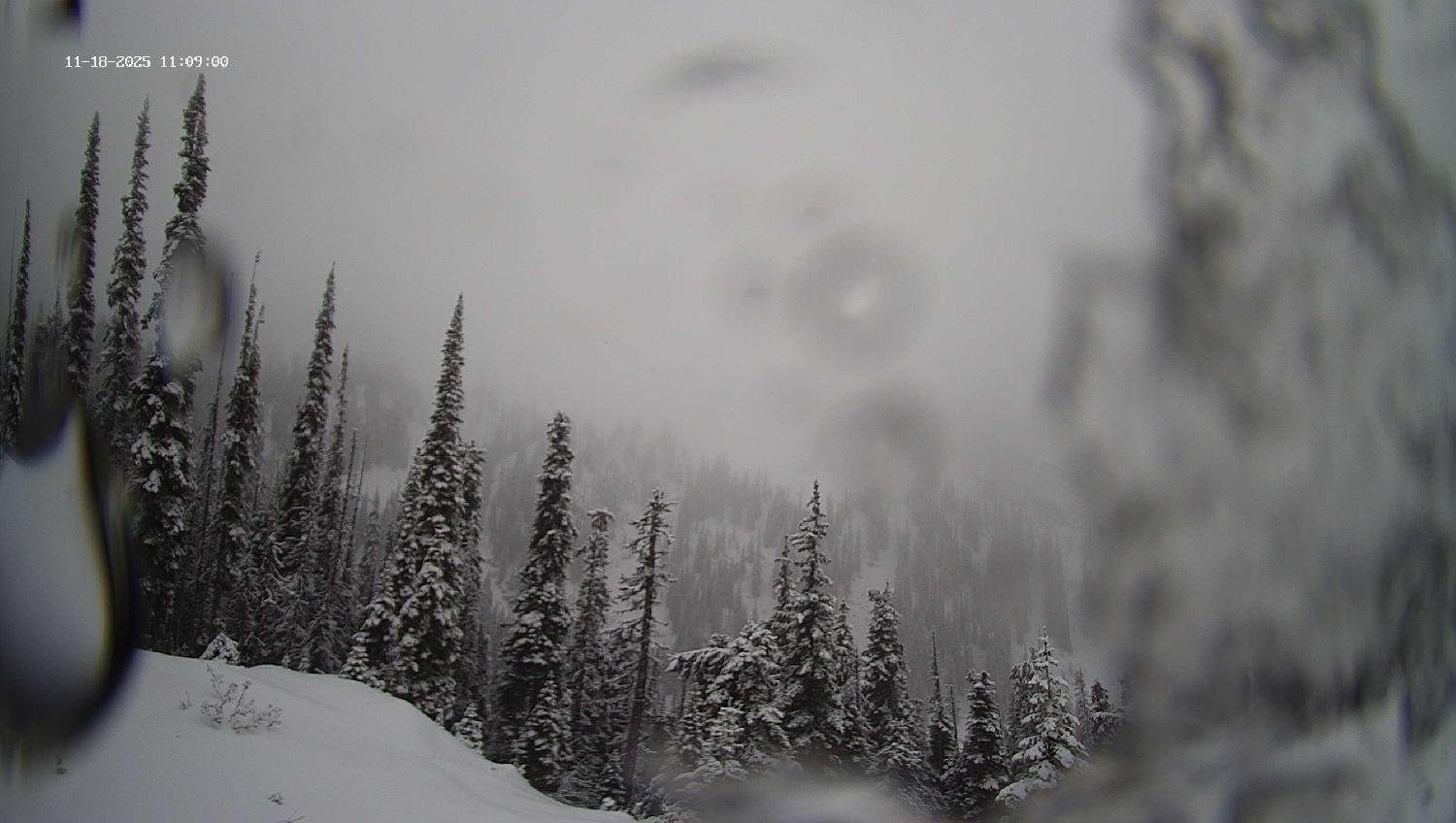 Webcam Revelstoke Mountain: Top Ripper Chair