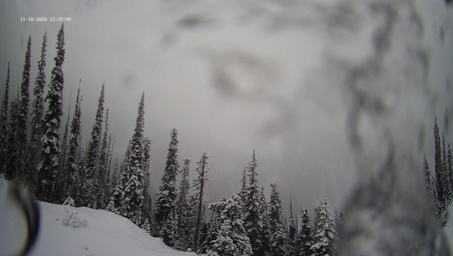Webcam Revelstoke Mountain: Top Ripper Chair