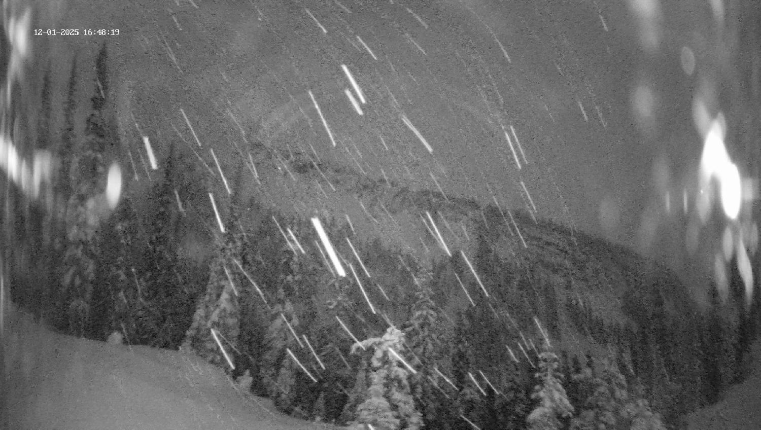 Webcam Revelstoke Mountain: Top Ripper Chair