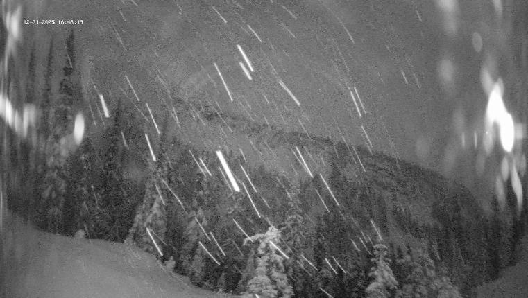 Webcam Revelstoke Mountain: Top Ripper Chair