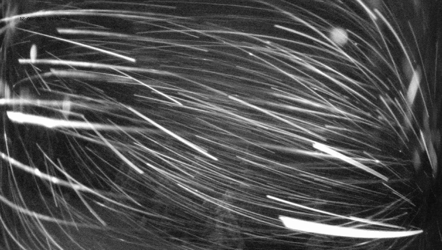 Webcam Revelstoke Mountain: Top Ripper Chair