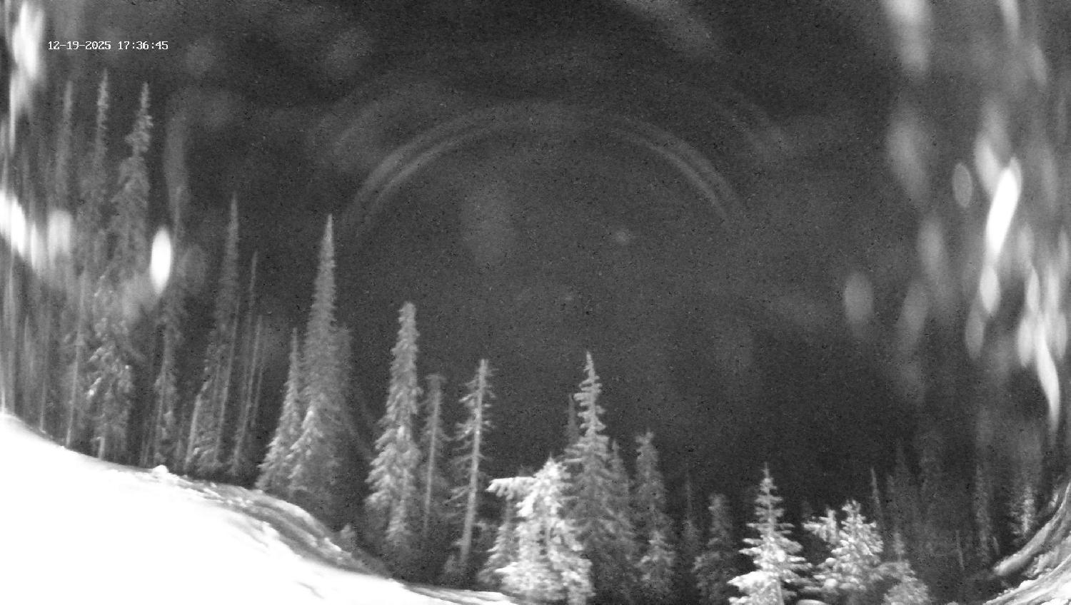 Webcam Revelstoke Mountain: Top Ripper Chair