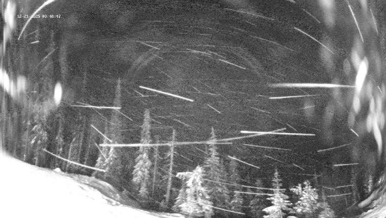 Webcam Revelstoke Mountain: Top Ripper Chair