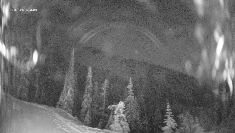 Webcam Revelstoke Mountain: Top Ripper Chair