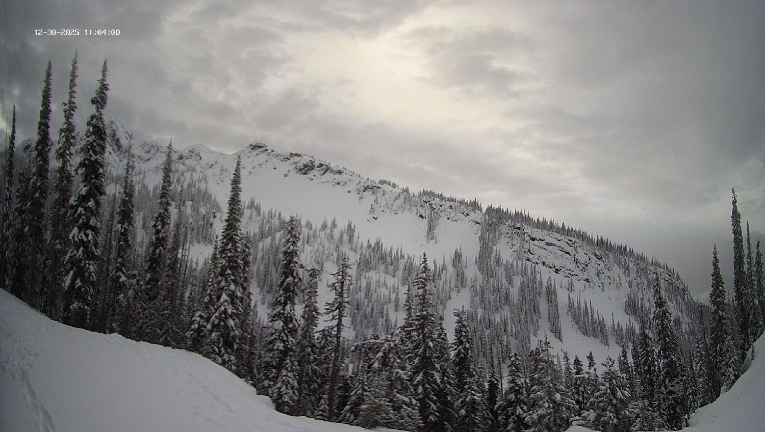 Webcam Revelstoke Mountain: Top Ripper Chair