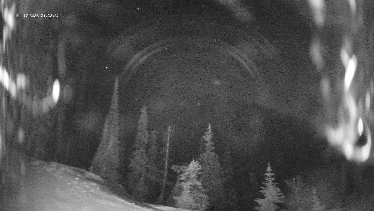 Webcam Revelstoke Mountain: Top Ripper Chair
