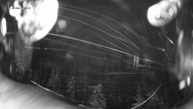 Webcam Revelstoke Mountain: Top Ripper Chair