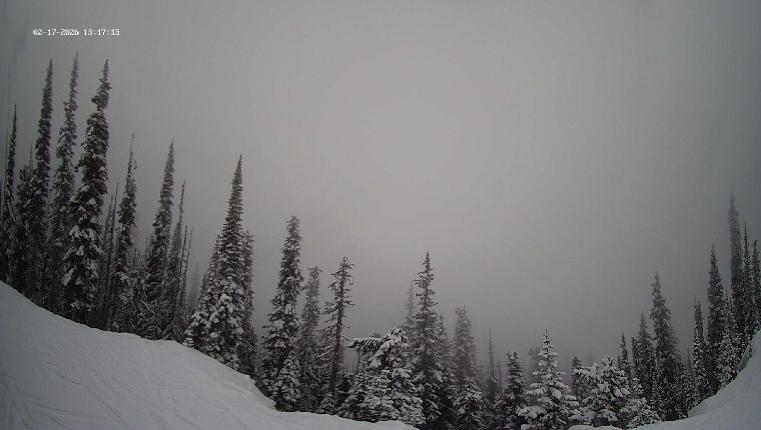 Webcam Revelstoke Mountain: Top Ripper Chair