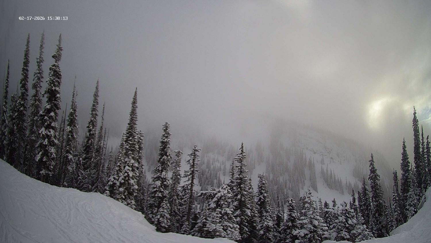 Webcam Revelstoke Mountain: Top Ripper Chair