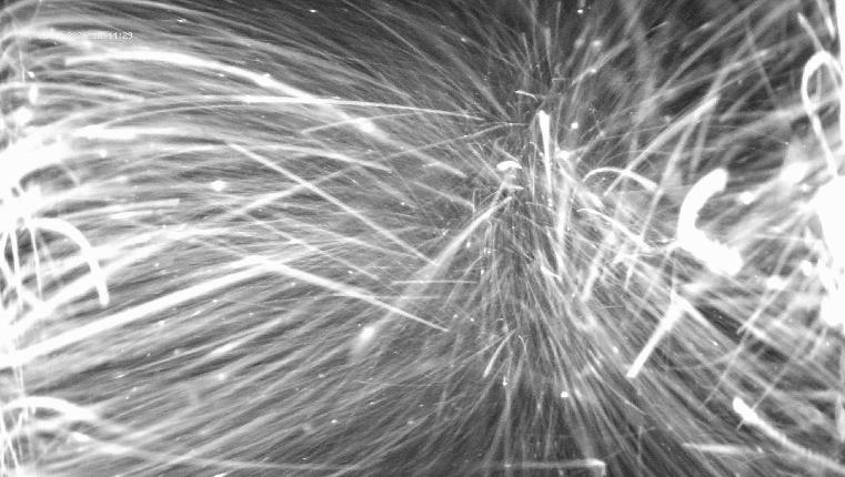 Webcam Revelstoke Mountain: Top Ripper Chair