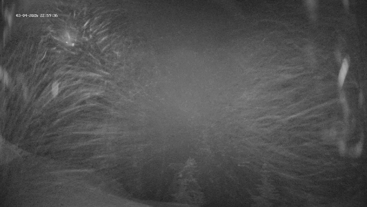 Webcam Revelstoke Mountain: Top Ripper Chair