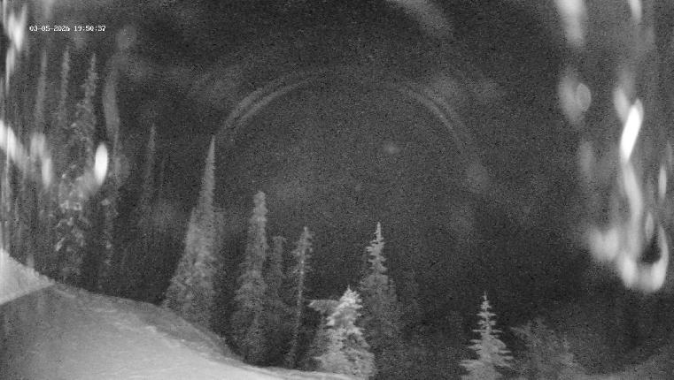 Webcam Revelstoke Mountain: Top Ripper Chair