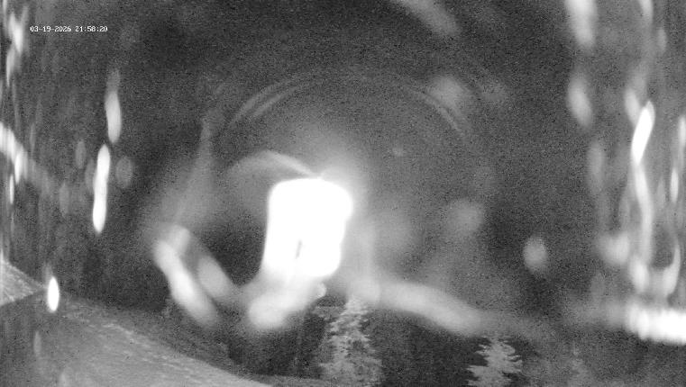 Webcam Revelstoke Mountain: Top Ripper Chair