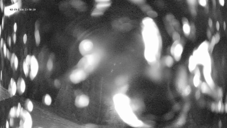 Webcam Revelstoke Mountain: Top Ripper Chair