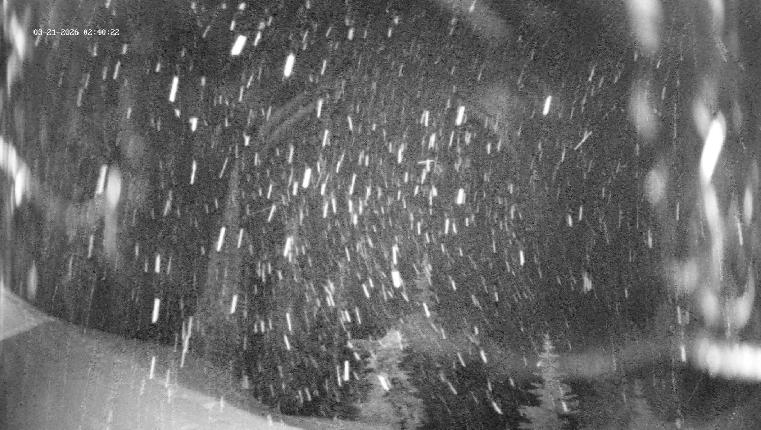 Webcam Revelstoke Mountain: Top Ripper Chair