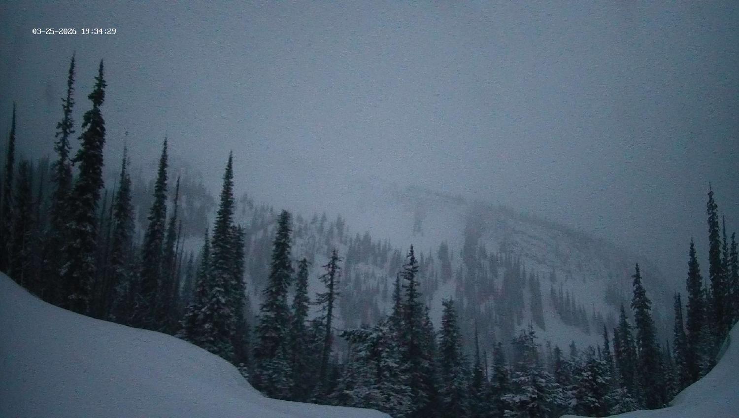 Webcam Revelstoke Mountain: Top Ripper Chair