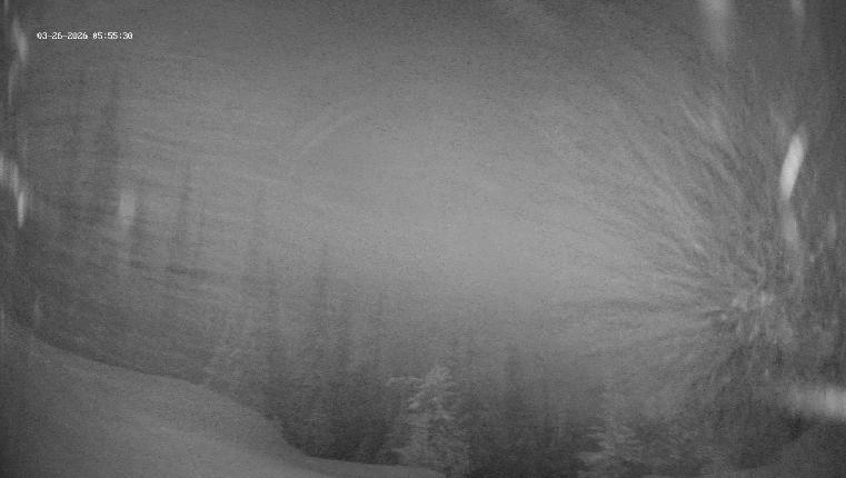 Webcam Revelstoke Mountain: Top Ripper Chair