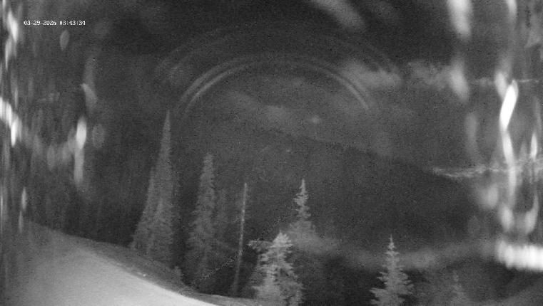 Webcam Revelstoke Mountain: Top Ripper Chair