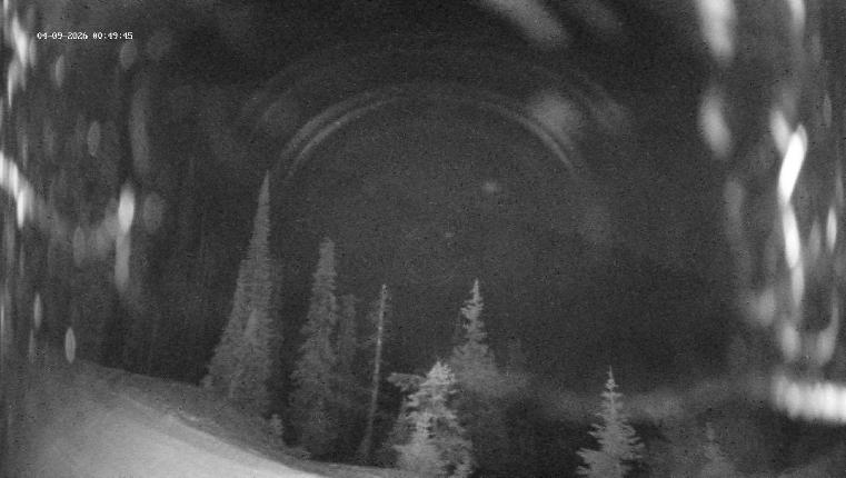 Webcam Revelstoke Mountain: Top Ripper Chair
