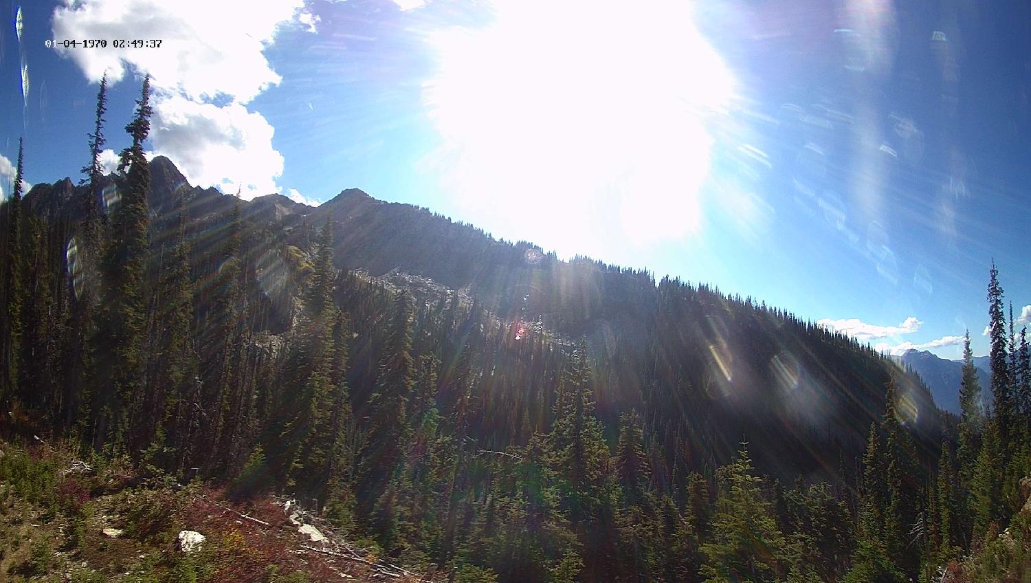 Webcam Revelstoke Mountain: Top Ripper Chair
