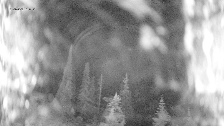 Webcam Revelstoke Mountain: Top Ripper Chair