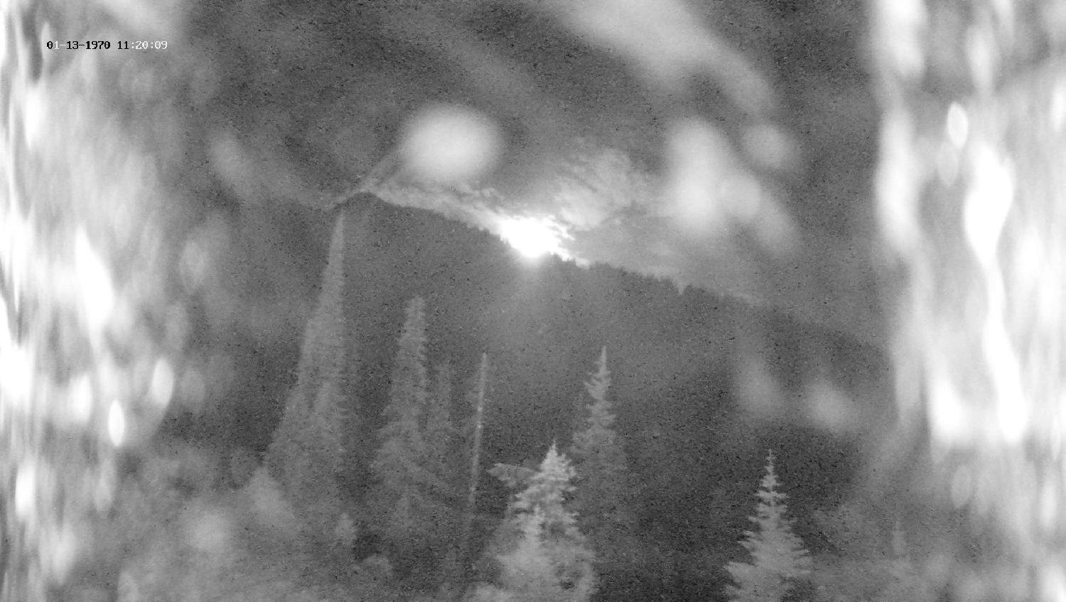 Webcam Revelstoke Mountain: Top Ripper Chair