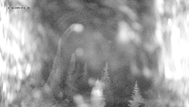 Webcam Revelstoke Mountain: Top Ripper Chair