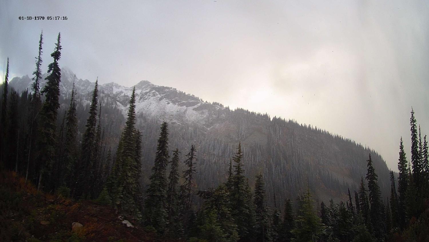 Webcam Revelstoke Mountain: Top Ripper Chair