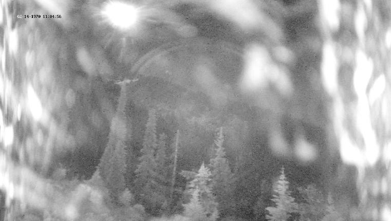 Webcam Revelstoke Mountain: Top Ripper Chair