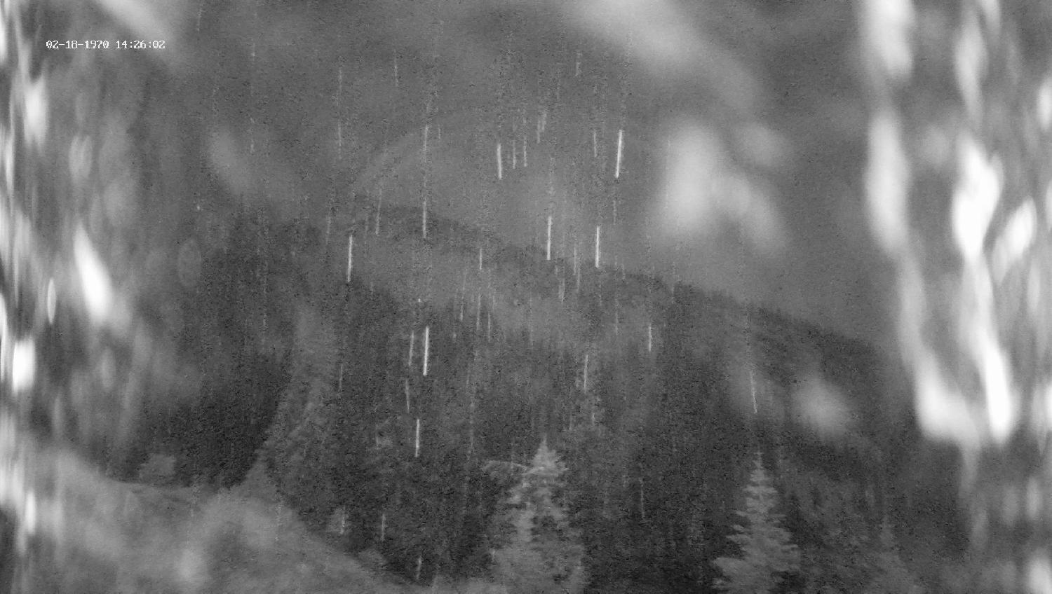 Webcam Revelstoke Mountain: Top Ripper Chair