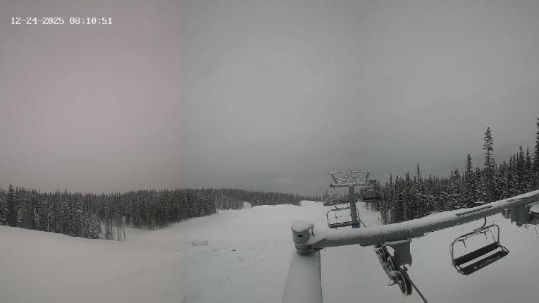 Webcam Revelstoke Mountain: Top Stellar Chair